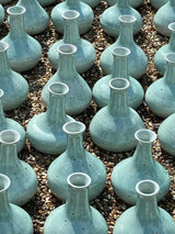 Limited Edition Essential Oil Reed Diffuser with a Handmade Ceramic Vase Pure Lakes Skincare