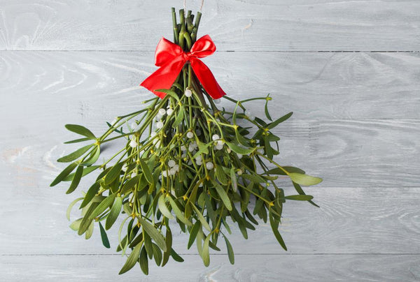 Under the mistletoe